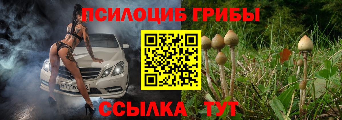 Галлюциногенные грибы ЛСД Краснотурьинск