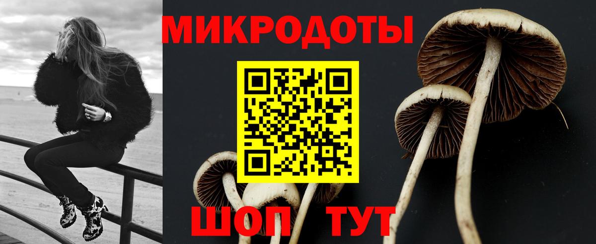 Псилоцибиновые грибы Magic Shrooms  Вход с VPN  купить наркотик  Краснотурьинск 